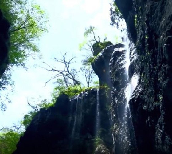 青山綠水，白龍江畔江畔息白鷺，兩岸綠橄欖入眼的都是純樸自然枝上花開(kāi)，春來(lái)水暖魚(yú)蝦戲水，鳥(niǎo)語(yǔ)花香心中充滿(mǎn)著舒暢之感祥宇生態(tài)產(chǎn)業(yè)園，位于隴南市武..